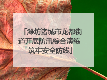 潍坊诸城市龙都街道开展防汛综合演练 筑牢安全防线