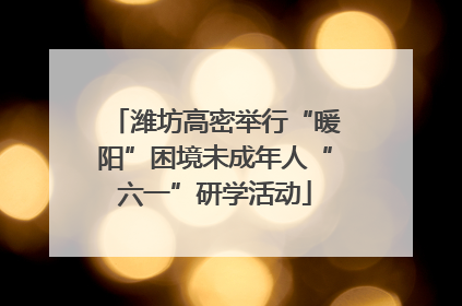 潍坊高密举行“暖阳”困境未成年人“六一”研学活动