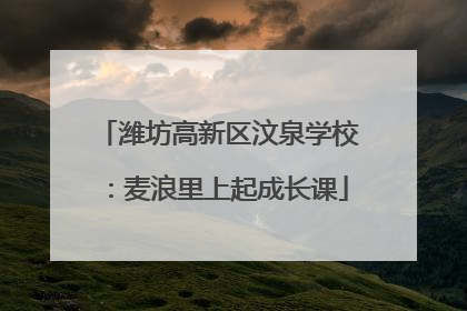 潍坊高新区汶泉学校：麦浪里上起成长课