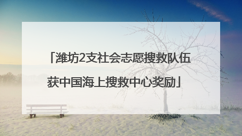 潍坊2支社会志愿搜救队伍获中国海上搜救中心奖励
