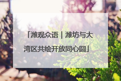 潍观众语｜潍坊与大湾区共绘开放同心圆