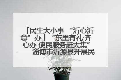 民生大小事 “沂心沂意”办丨“东里有礼·齐心办 便民服务赶大集”——淄博市沂源县开展民生政策宣传活动