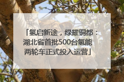 氢启新途，绿耀铜都：湖北省首批500台氢能两轮车正式投入运营