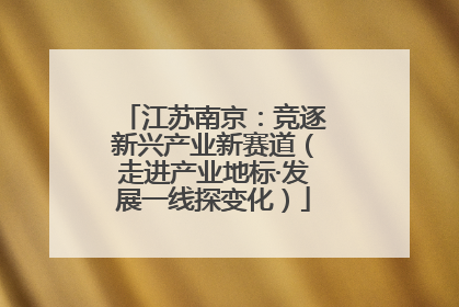 江苏南京：竞逐新兴产业新赛道（走进产业地标·发展一线探变化）