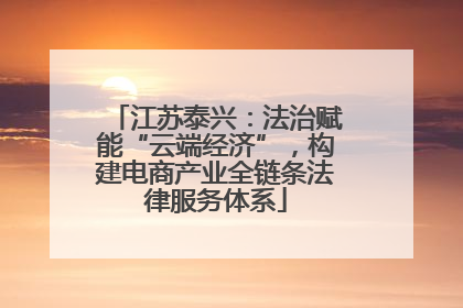 江苏泰兴：法治赋能“云端经济”，构建电商产业全链条法律服务体系