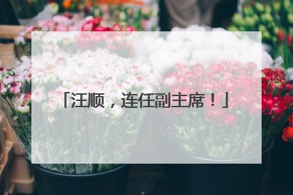 汪顺，连任副主席！
