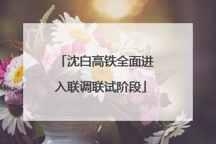 沈白高铁全面进入联调联试阶段