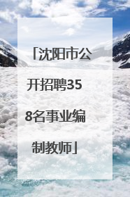沈阳市公开招聘358名事业编制教师
