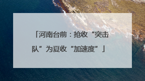 河南台前：抢收“突击队”为夏收“加速度”