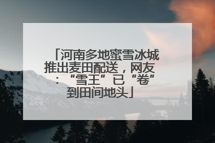河南多地蜜雪冰城推出麦田配送，网友：“雪王”已“卷”到田间地头