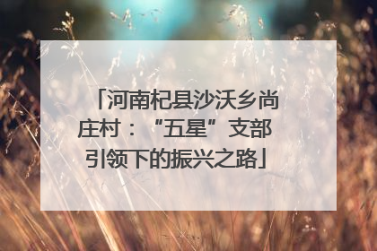 河南杞县沙沃乡尚庄村：“五星”支部引领下的振兴之路