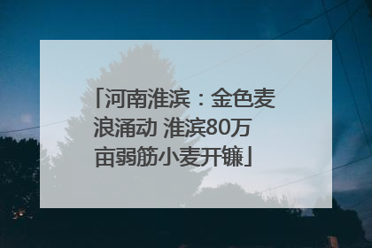 河南淮滨：金色麦浪涌动 淮滨80万亩弱筋小麦开镰
