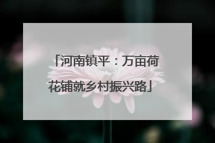 河南镇平：万亩荷花铺就乡村振兴路