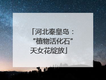 河北秦皇岛：“植物活化石”天女花绽放