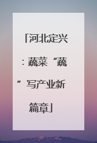 河北定兴：蔬菜“蔬”写产业新篇章