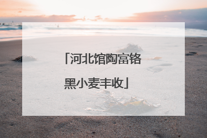 河北馆陶富铬黑小麦丰收