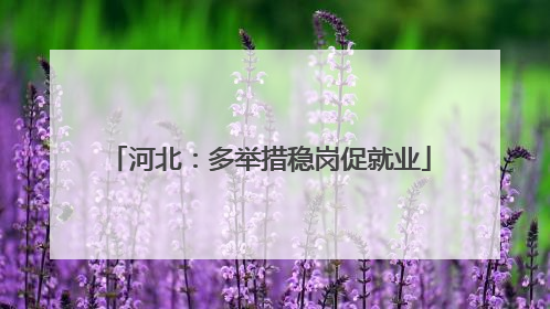 河北：多举措稳岗促就业