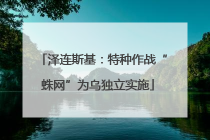泽连斯基：特种作战“蛛网”为乌独立实施