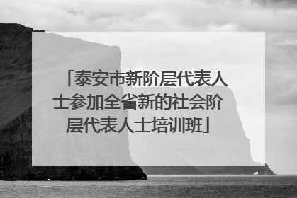 泰安市新阶层代表人士参加全省新的社会阶层代表人士培训班