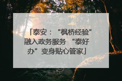 泰安：“枫桥经验”融入政务服务 “泰好办”变身贴心管家