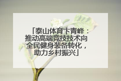 泰山体育卞青峰：推动高端竞技技术向全民健身装备转化，助力乡村振兴