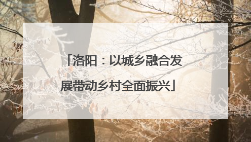 洛阳：以城乡融合发展带动乡村全面振兴