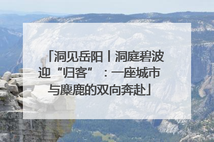 洞见岳阳丨洞庭碧波迎“归客”：一座城市与麋鹿的双向奔赴