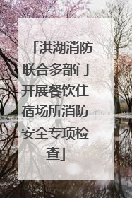 洪湖消防联合多部门开展餐饮住宿场所消防安全专项检查