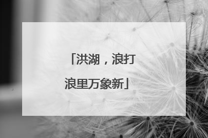 洪湖，浪打浪里万象新