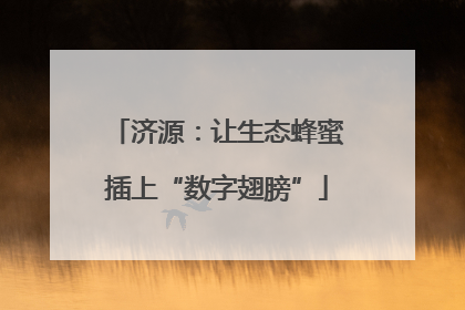 济源：让生态蜂蜜插上“数字翅膀”