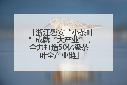 浙江磐安“小茶叶”成就“大产业”，全力打造50亿级茶叶全产业链