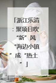 浙江乐清：聚项目吹“新”风 “海边小镇”成“热土”