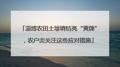 淄博农田土壤墒情亮“黄牌”，农户需关注这些应对措施