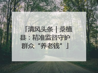 清风头条｜桑植县：精准监督守护群众“养老钱”
