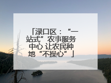 渌口区：“一站式”农事服务中心 让农民种地“不操心”