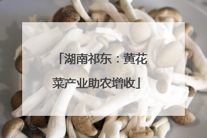 湖南祁东：黄花菜产业助农增收