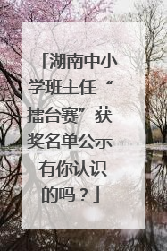 湖南中小学班主任“擂台赛”获奖名单公示 有你认识的吗？