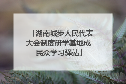 湖南城步人民代表大会制度研学基地成民众学习驿站