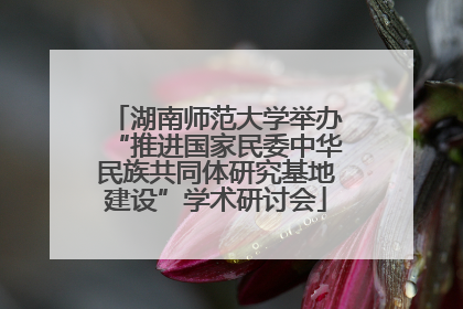 湖南师范大学举办“推进国家民委中华民族共同体研究基地建设”学术研讨会