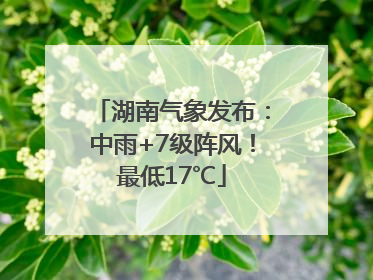 湖南气象发布：中雨+7级阵风！最低17℃