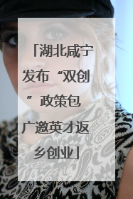 湖北咸宁发布“双创”政策包 广邀英才返乡创业