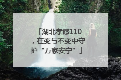 湖北孝感110，在变与不变中守护“万家安宁”