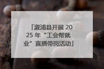 溆浦县开展 2025 年“工会帮就业”直播带岗活动
