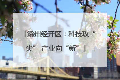滁州经开区：科技攻“尖” 产业向“新”