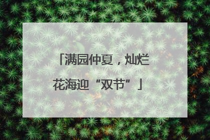 满园仲夏，灿烂花海迎“双节”