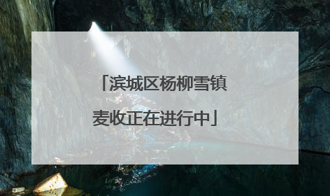 滨城区杨柳雪镇麦收正在进行中