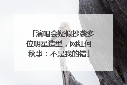 演唱会疑似抄袭多位明星造型，网红何秋亊：不是我的错