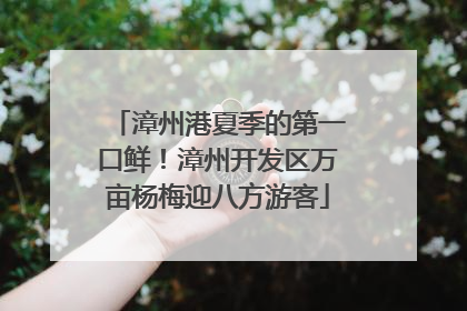 漳州港夏季的第一口鲜！漳州开发区万亩杨梅迎八方游客