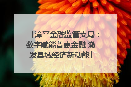 漳平金融监管支局：数字赋能普惠金融 激发县域经济新动能