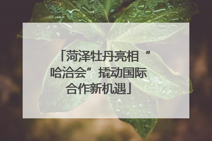 菏泽牡丹亮相“哈洽会”撬动国际合作新机遇